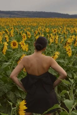 DISSH Boutiques AISLE BLACK LINEN BACK BOW DRESS CLOTHING