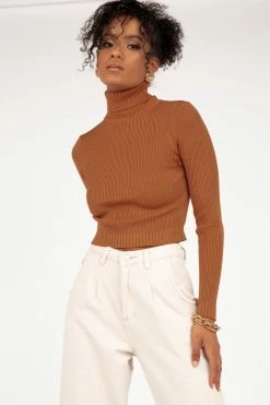 DISSH Boutiques TOPS SOFIE RUST ROLL NECK RIB KNIT TOP