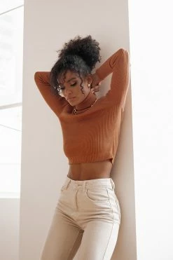 DISSH Boutiques TOPS SOFIE RUST ROLL NECK RIB KNIT TOP